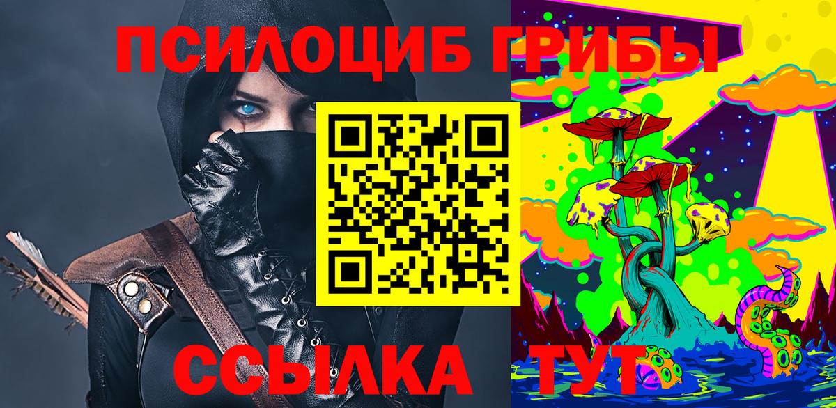 Сосновый Бор  Псилоцибиновые грибы прущие грибы  Вход с VPN  Галлюциногенные грибы Cubensis 